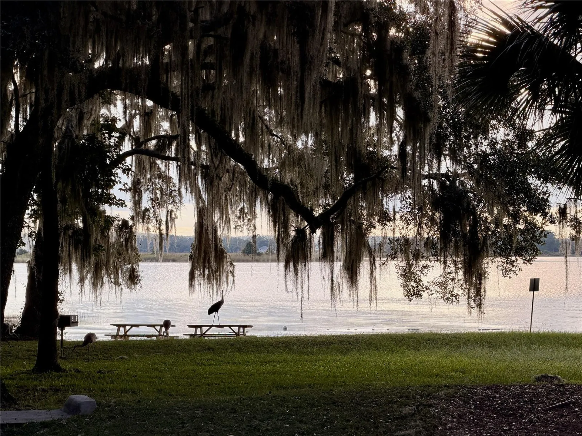 14010 NE 250th Circle Salt Springs FL 32134