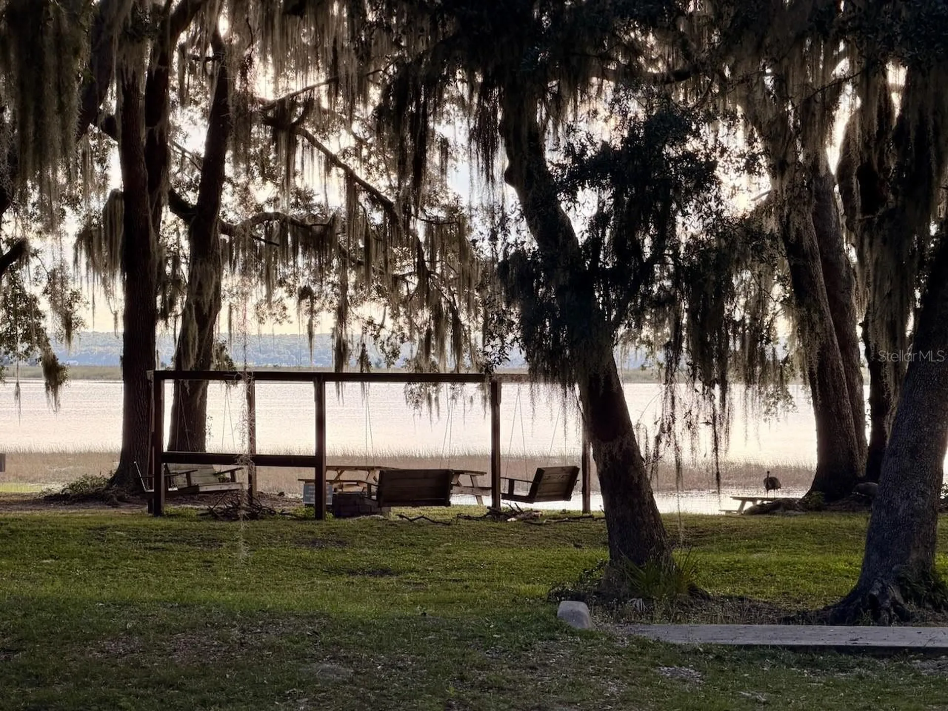14010 NE 250th Circle Salt Springs FL 32134