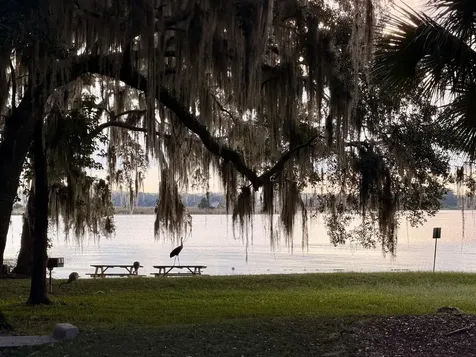 14010 NE 250th Circle Salt Springs FL 32134