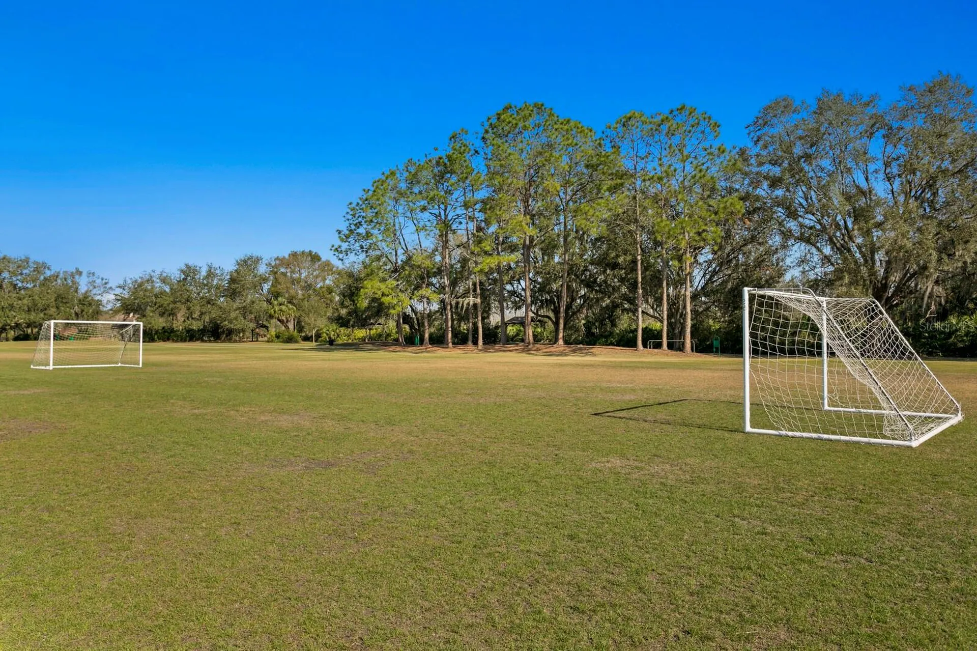 9337 Wellington Park Circle Tampa FL 33647