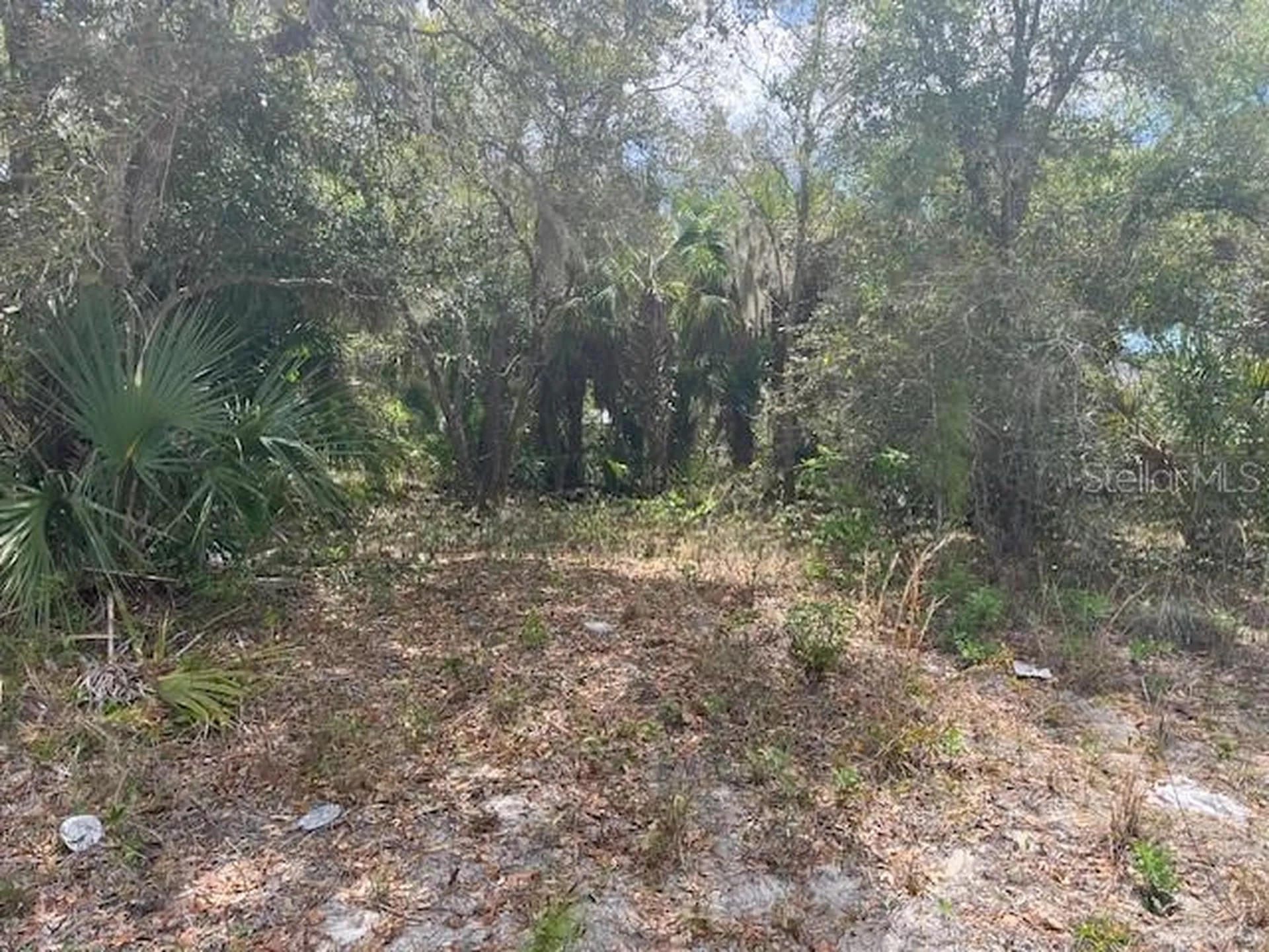 Scottish Terrace North Port FL 34288