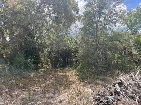 Scottish Terrace North Port FL 34288