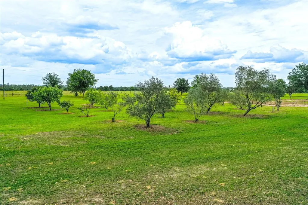 6850 Hunt Road Groveland FL 34736