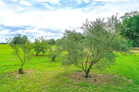 6850 Hunt Road Groveland FL 34736
