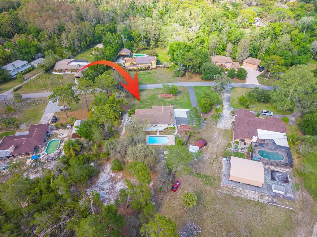 9720 Delray Drive New Port Richey FL 34654