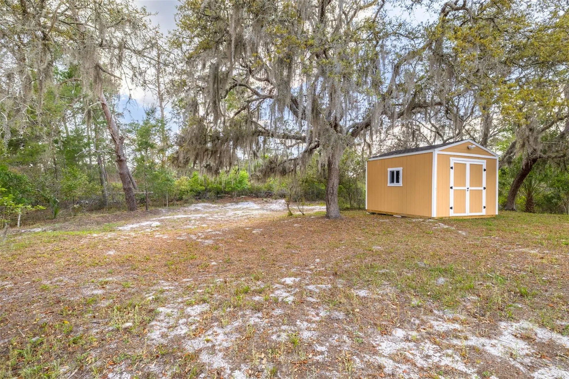 9720 Delray Drive New Port Richey FL 34654