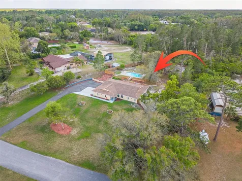 9720 Delray Drive New Port Richey FL 34654