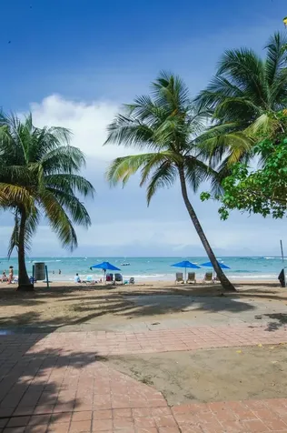 6165 Av, Isla Verde Carolina PR 00979