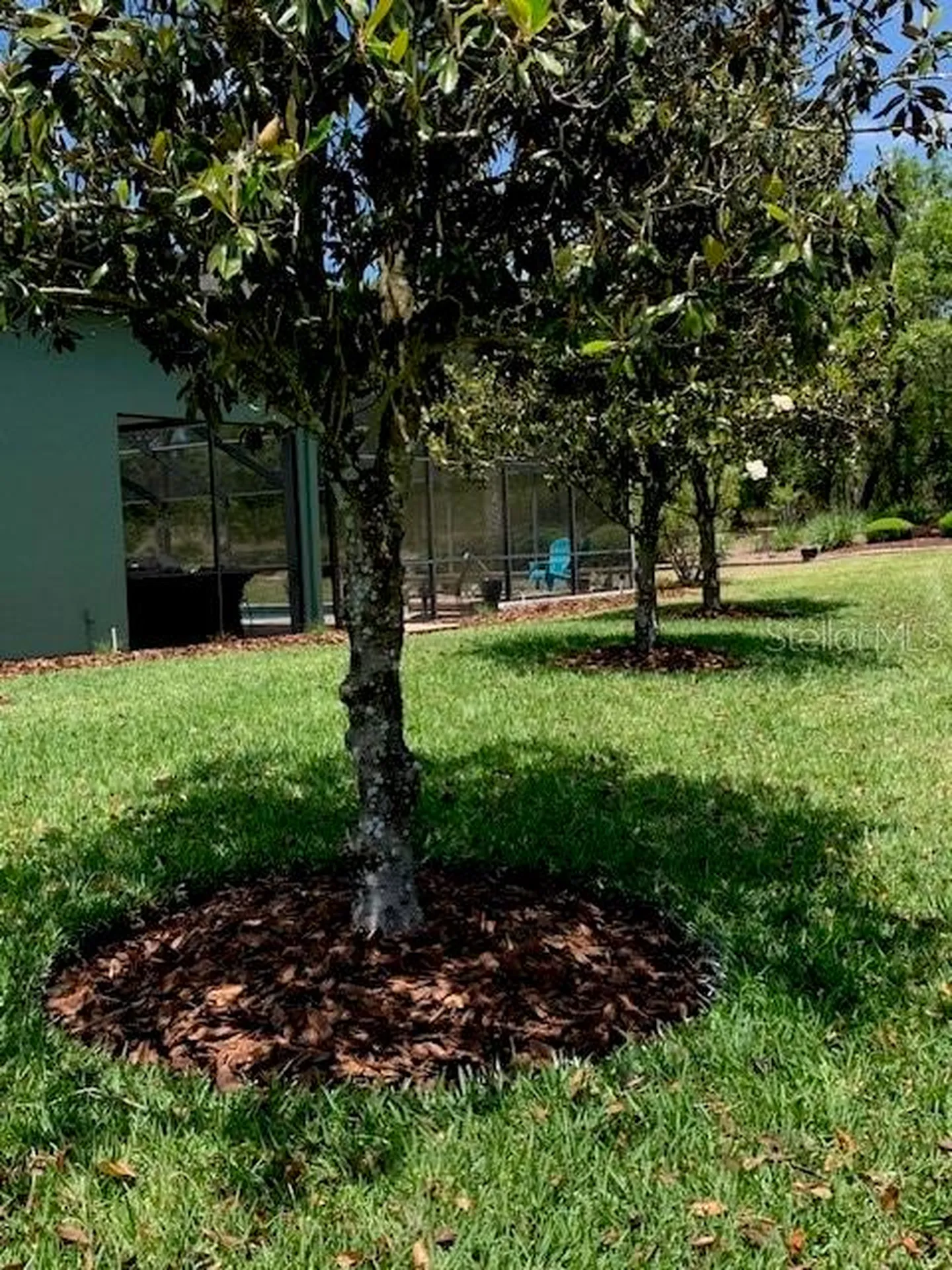 1 Mintwood Point Homosassa FL 34446