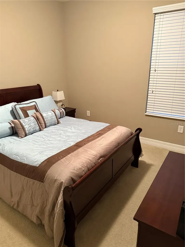4432 Vermillion Sky Drive Wesley Chapel FL 33544