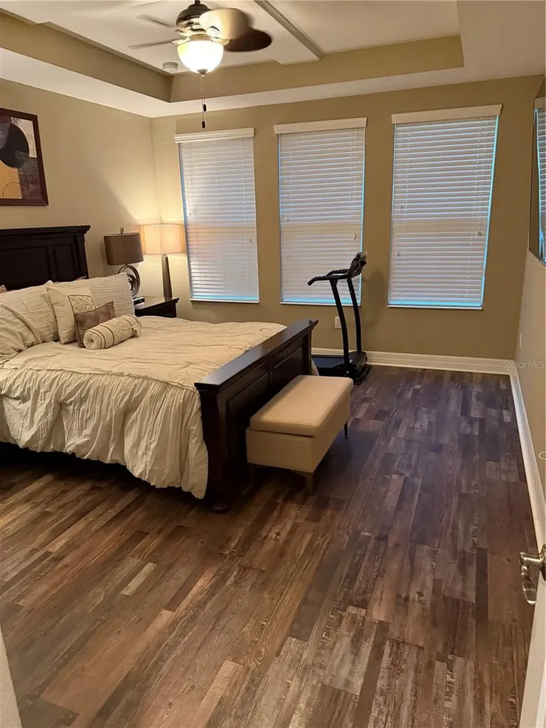 4432 Vermillion Sky Drive Wesley Chapel FL 33544