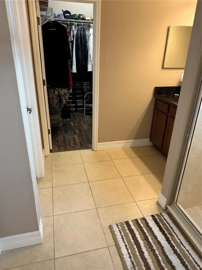 4432 Vermillion Sky Drive Wesley Chapel FL 33544
