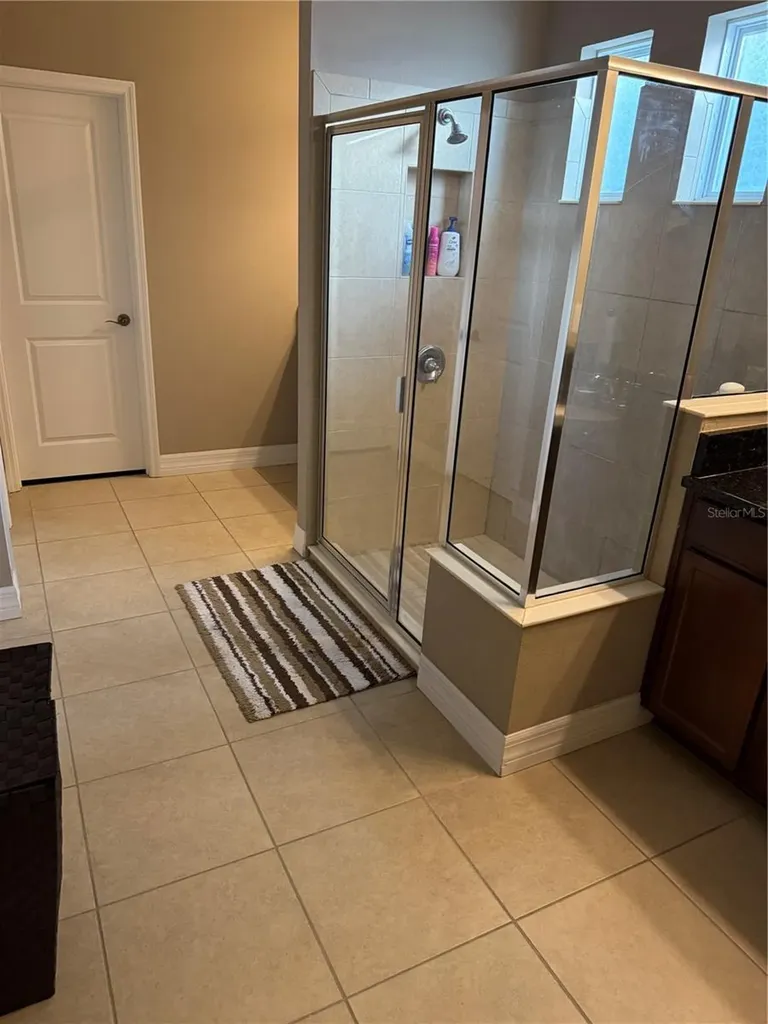 4432 Vermillion Sky Drive Wesley Chapel FL 33544