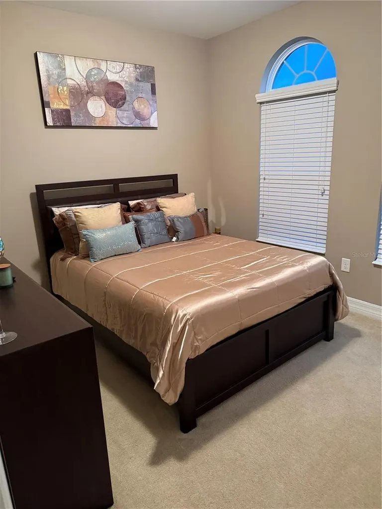 4432 Vermillion Sky Drive Wesley Chapel FL 33544