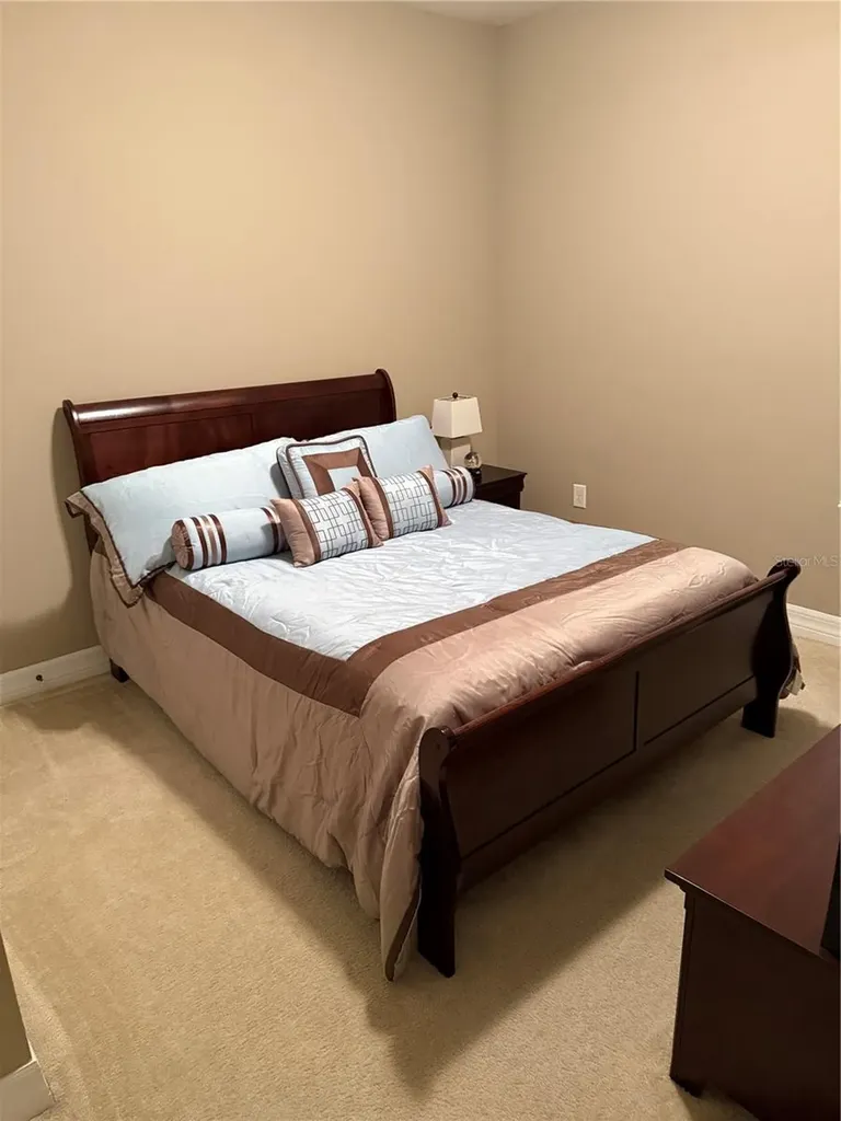 4432 Vermillion Sky Drive Wesley Chapel FL 33544