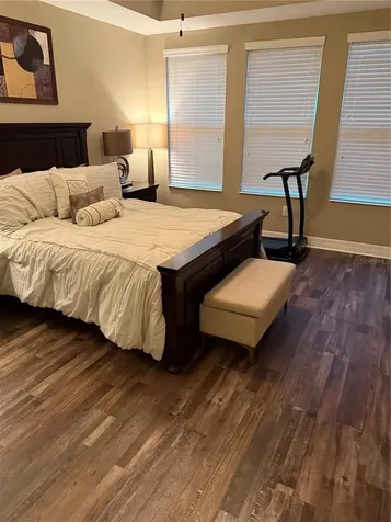 4432 Vermillion Sky Drive Wesley Chapel FL 33544