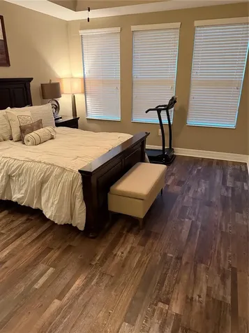 4432 Vermillion Sky Drive Wesley Chapel FL 33544