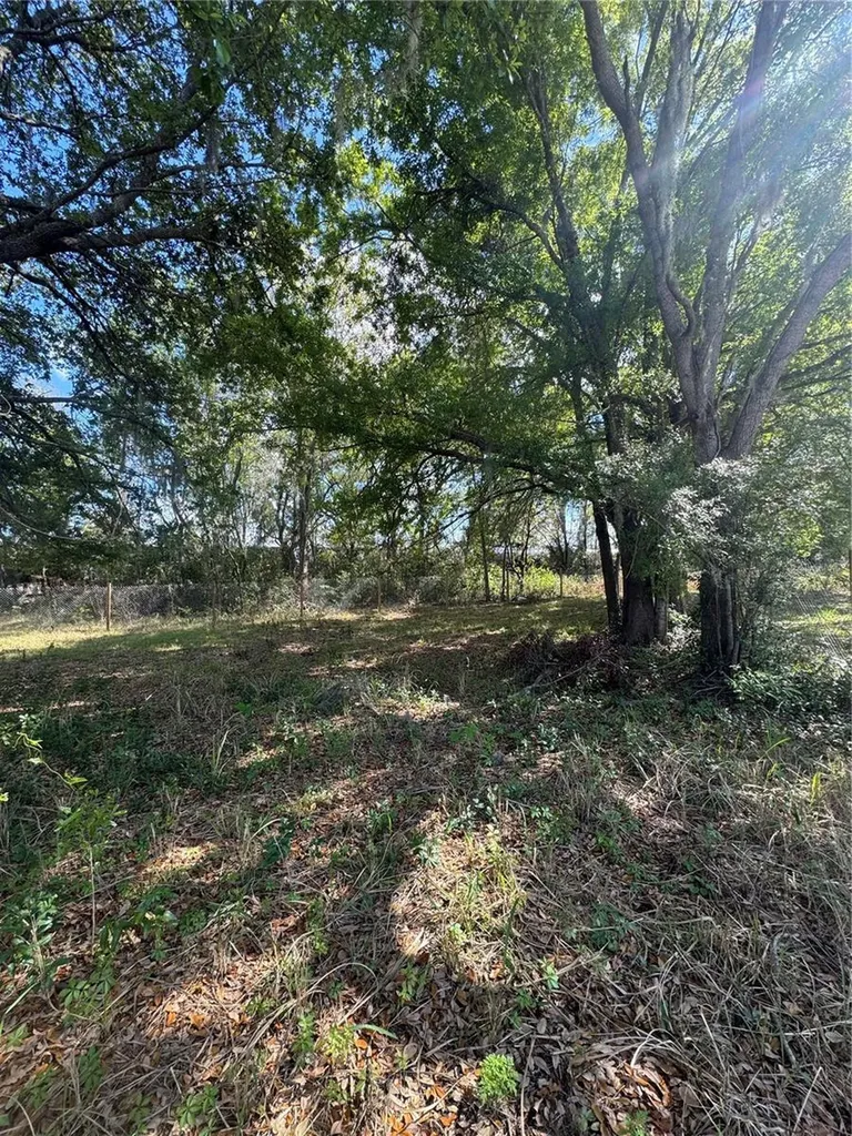 0 Denmark Street Bartow FL 33830