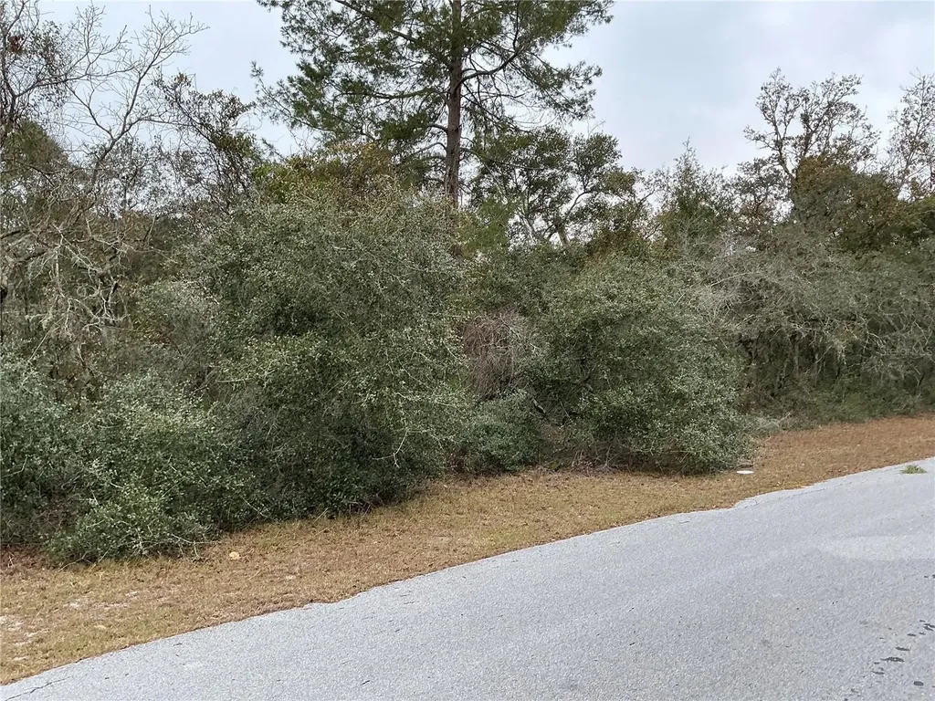 SW 137th Loop Ocala FL 34473