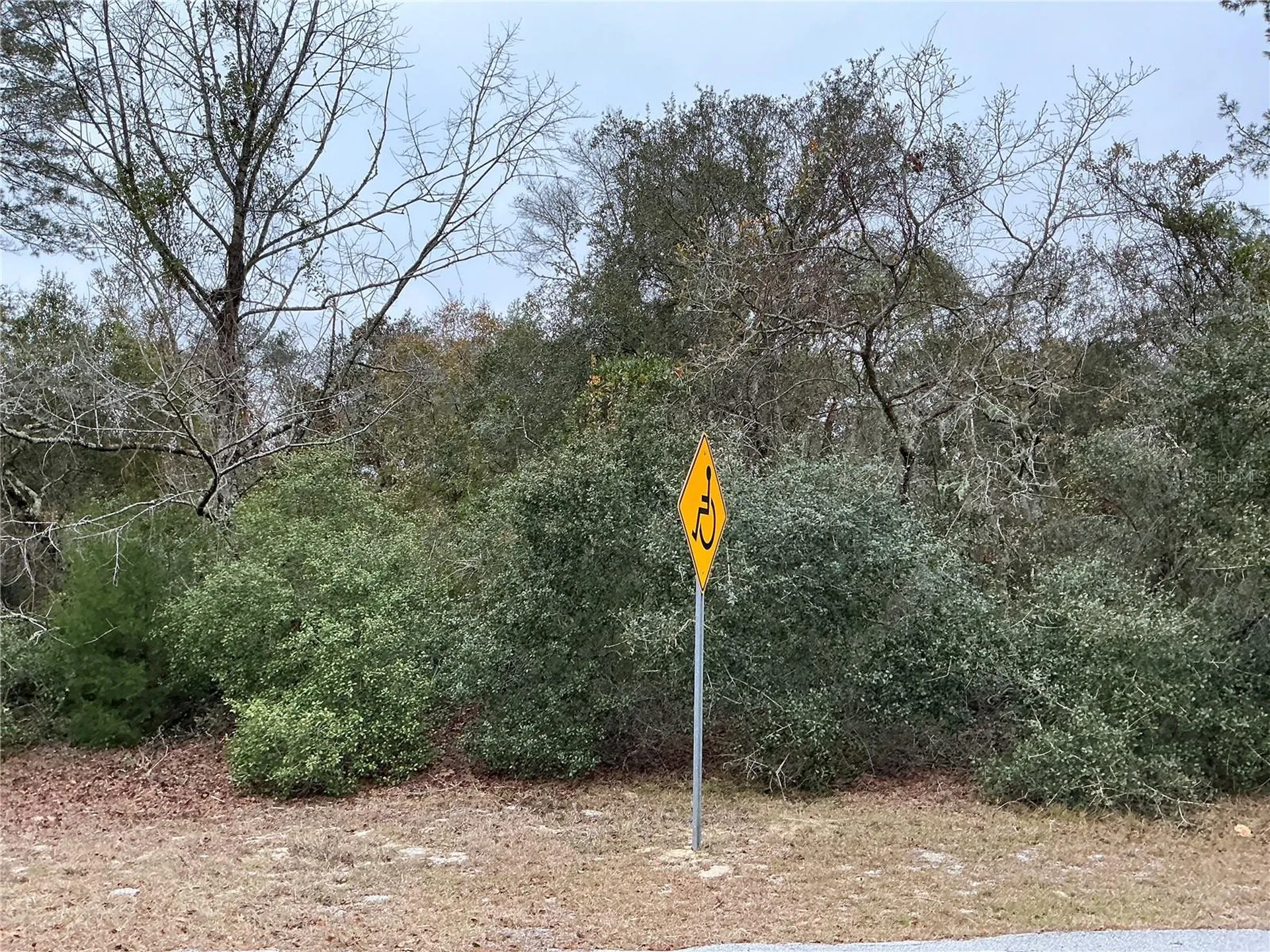 SW 137th Loop Ocala FL 34473