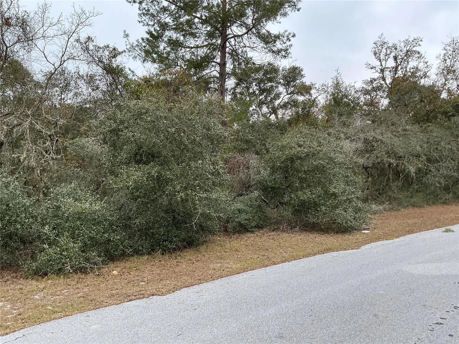SW 137th Loop Ocala FL 34473