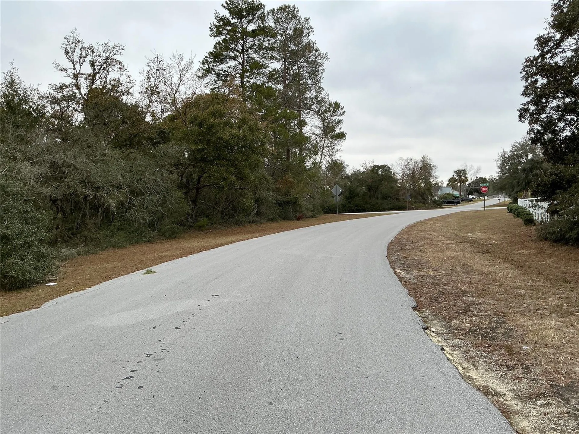SW 137th Loop Ocala FL 34473