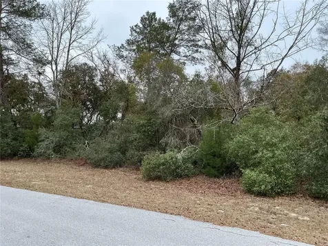 SW 137th Loop Ocala FL 34473