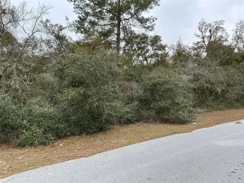 SW 137th Loop Ocala FL 34473
