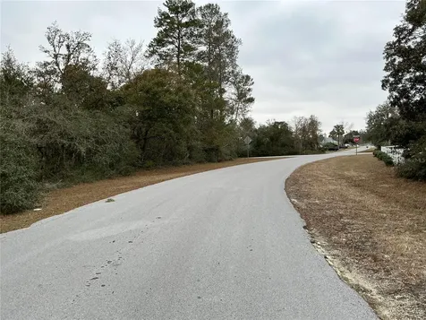 SW 137th Loop Ocala FL 34473