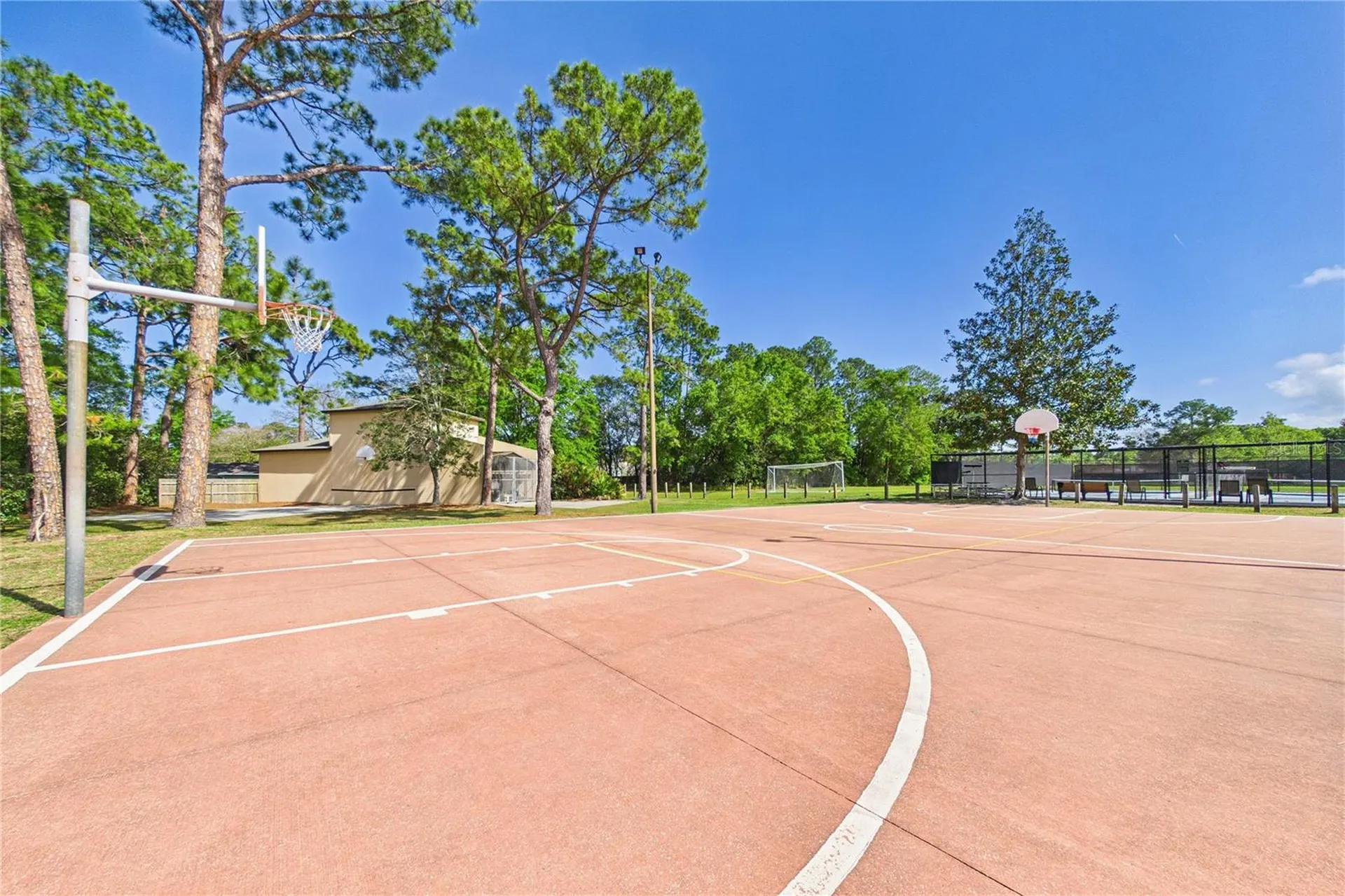 2487 Winged Elm Drive E Jacksonville FL 32246