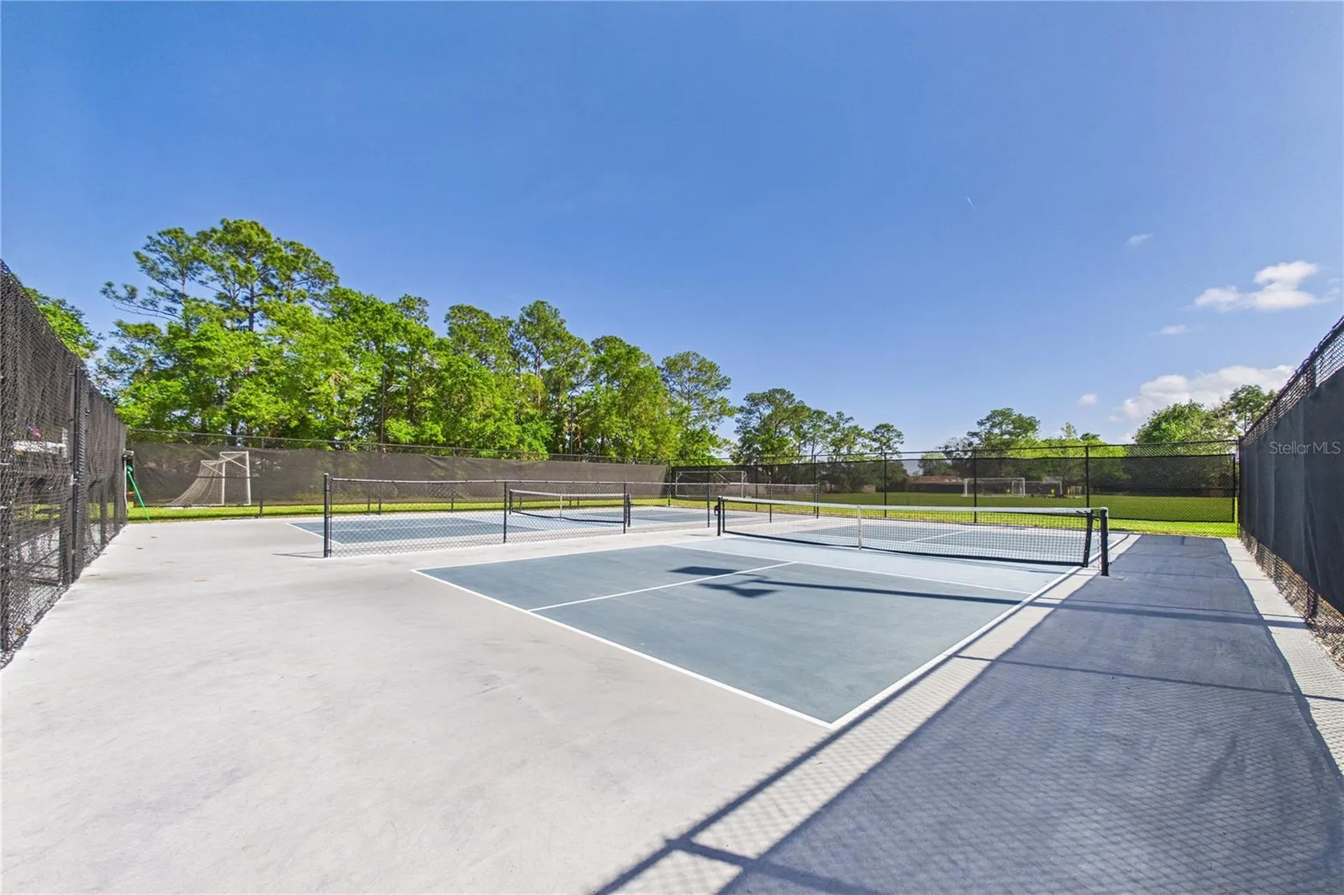 2487 Winged Elm Drive E Jacksonville FL 32246
