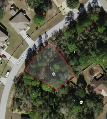 8311 N Primrose Drive Citrus Springs FL 34434