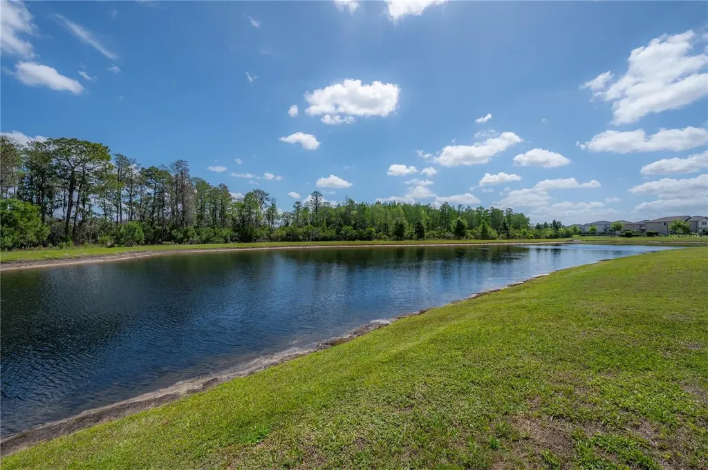 4652 Ballantrae Boulevard Land O Lakes FL 34638