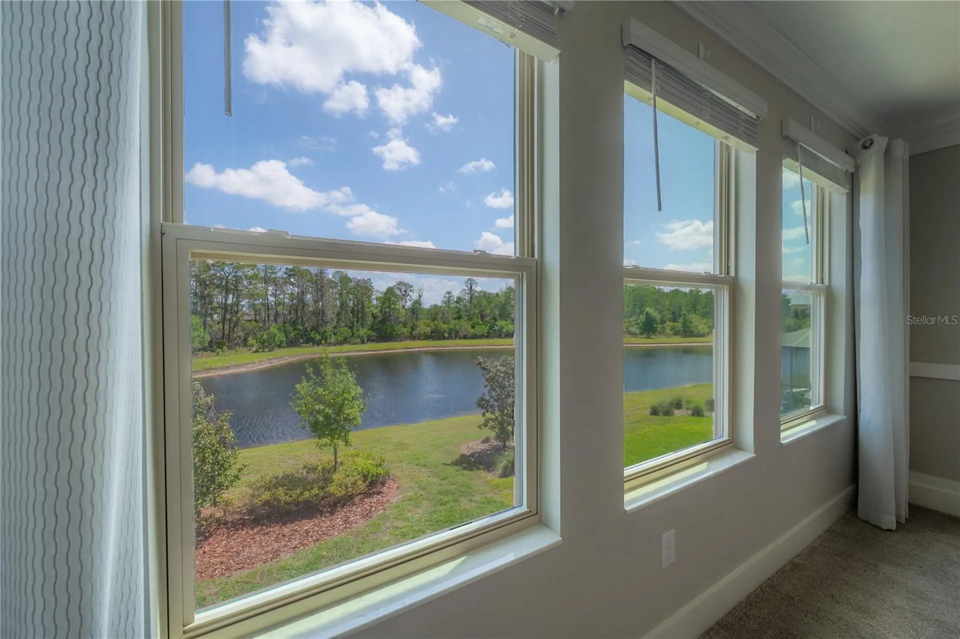 4652 Ballantrae Boulevard Land O Lakes FL 34638