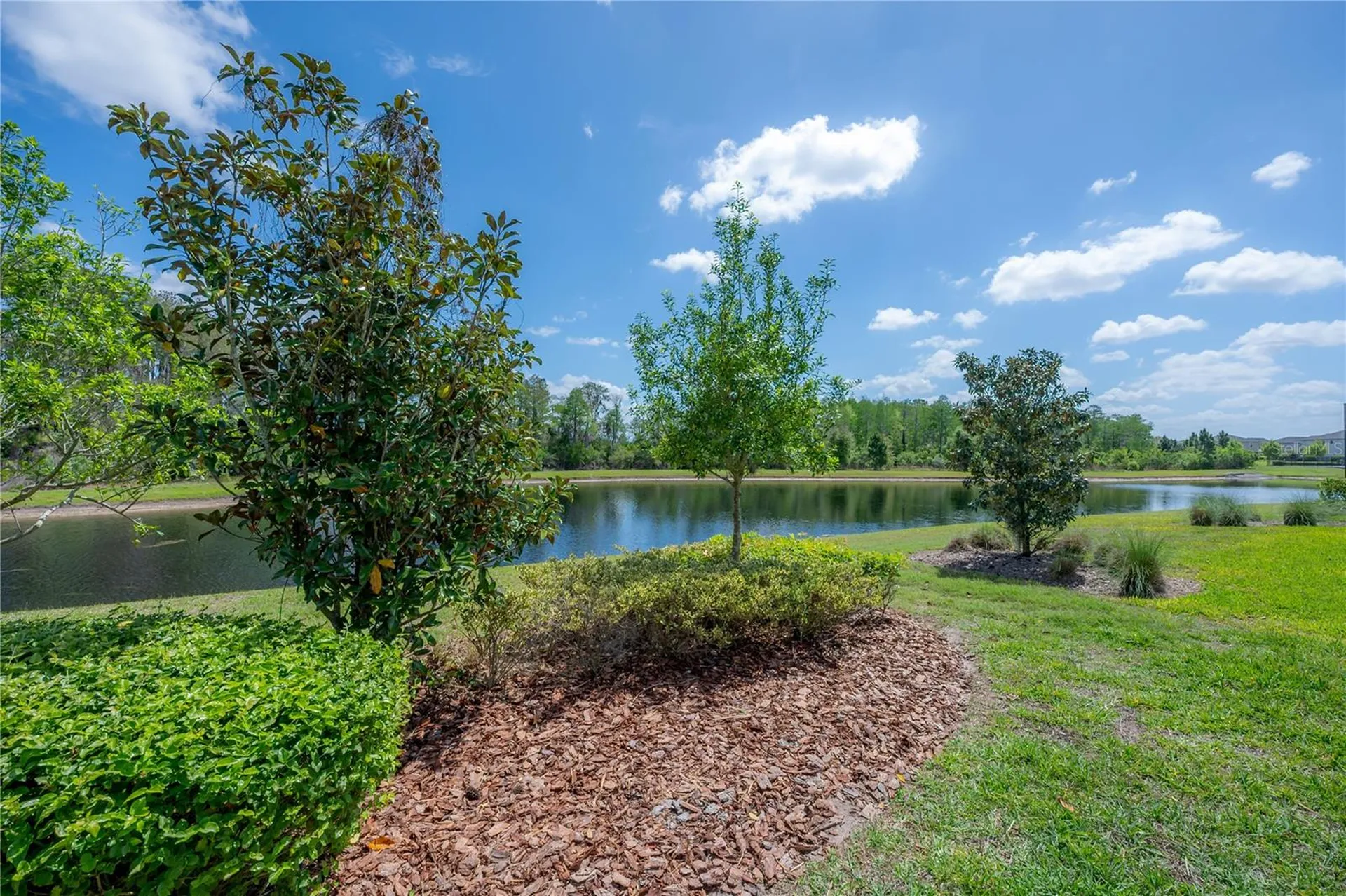 4652 Ballantrae Boulevard Land O Lakes FL 34638