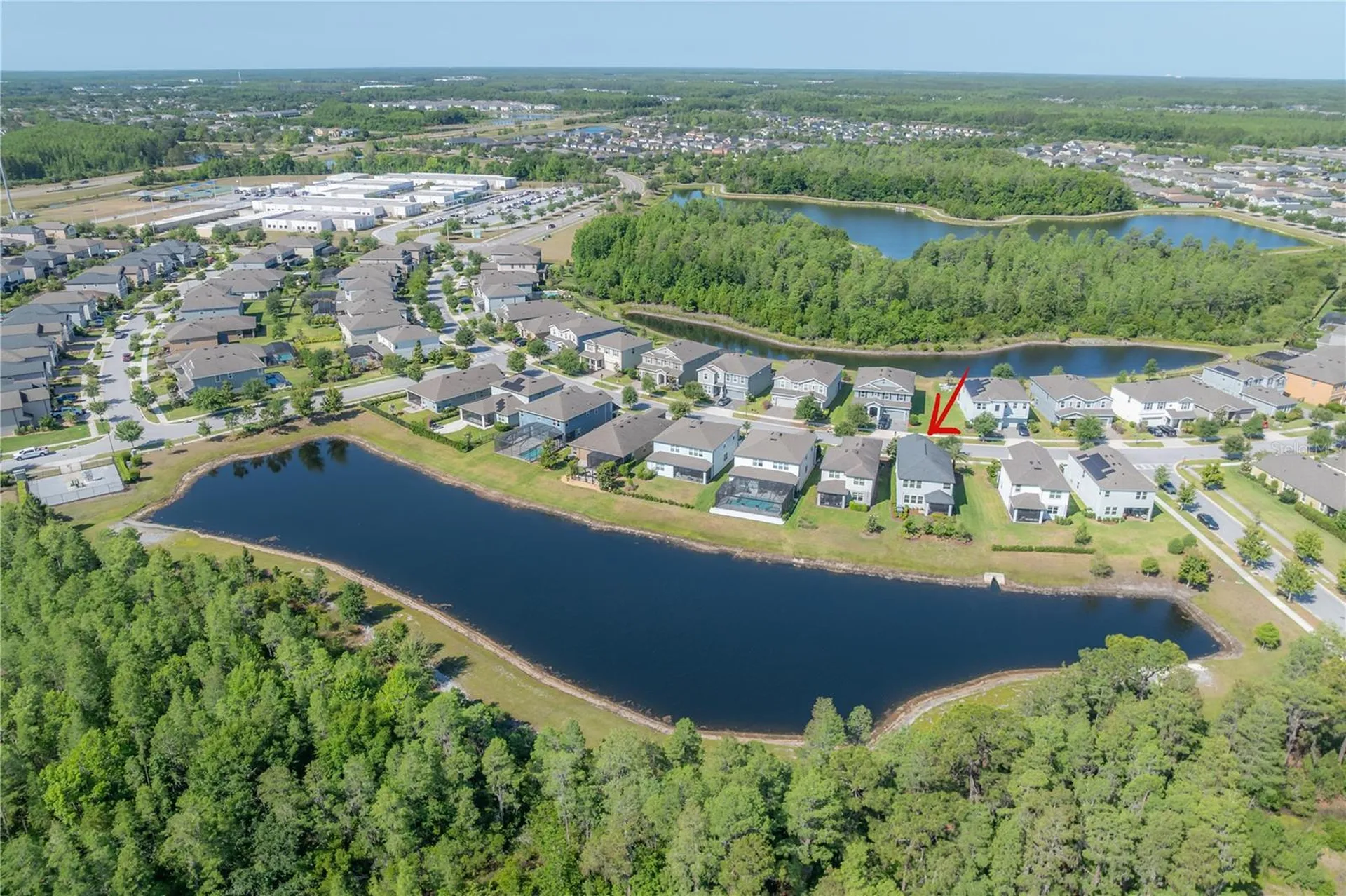 4652 Ballantrae Boulevard Land O Lakes FL 34638