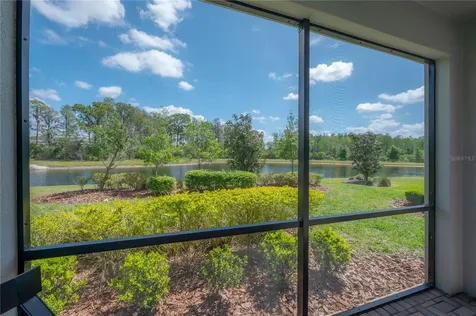 4652 Ballantrae Boulevard Land O Lakes FL 34638