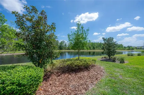 4652 Ballantrae Boulevard Land O Lakes FL 34638