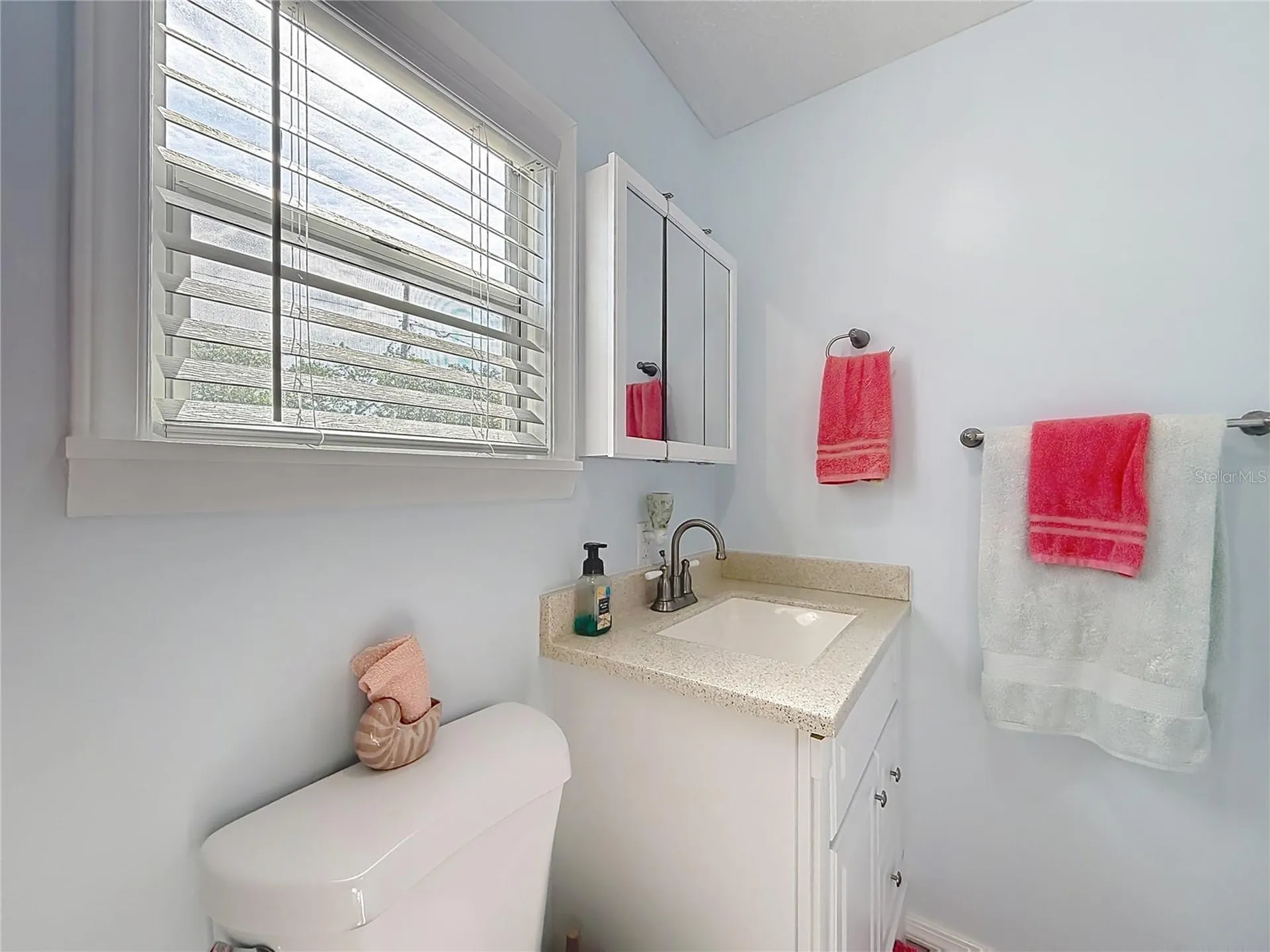 111 Mark Avenue Lady Lake FL 32159