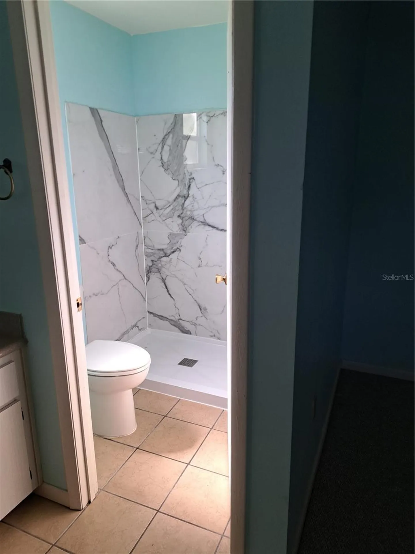 5618 Rosewall Circle Leesburg FL 34748