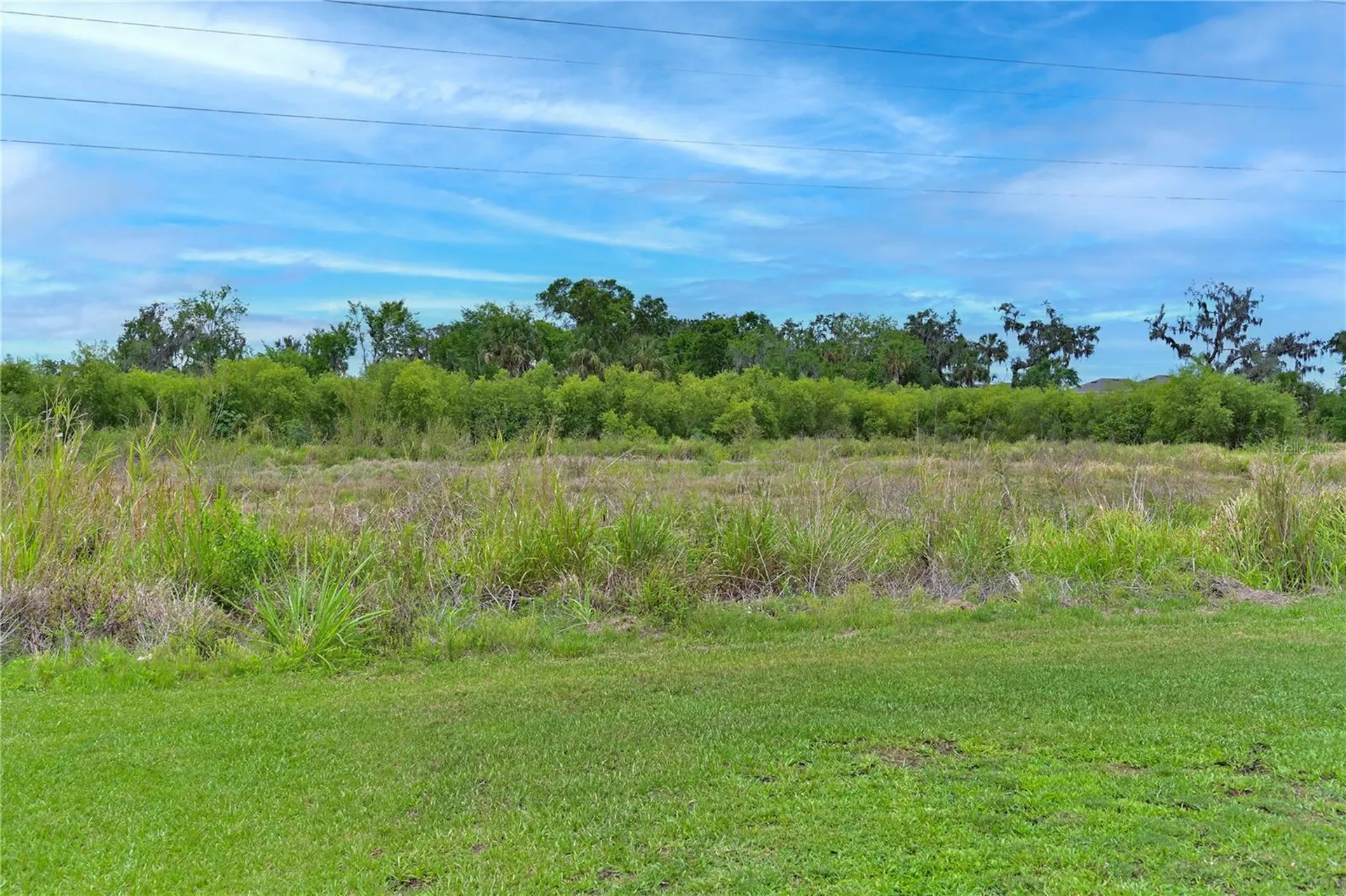 4919 Wedgeleaf Way Palmetto FL 34221