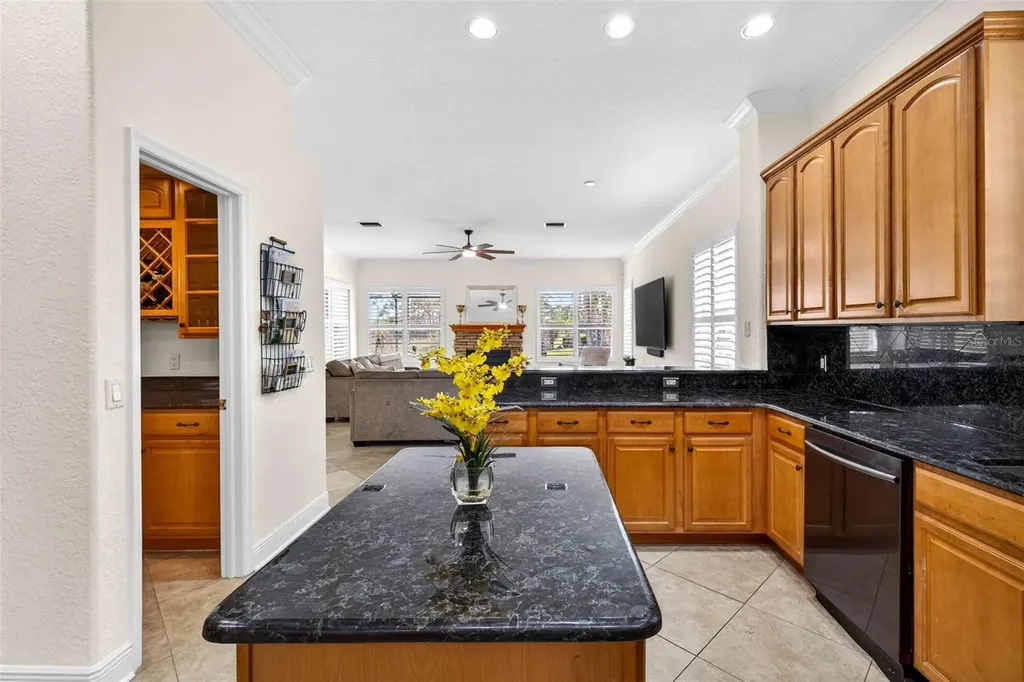 5905 Cherry Oak Drive Valrico FL 33596