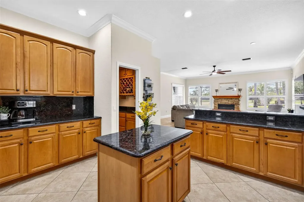 5905 Cherry Oak Drive Valrico FL 33596
