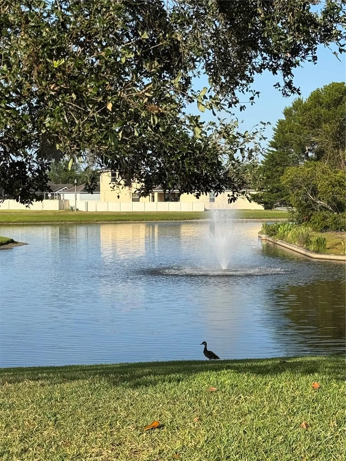 1365 Evergreen Park Circle Lakeland FL 33813