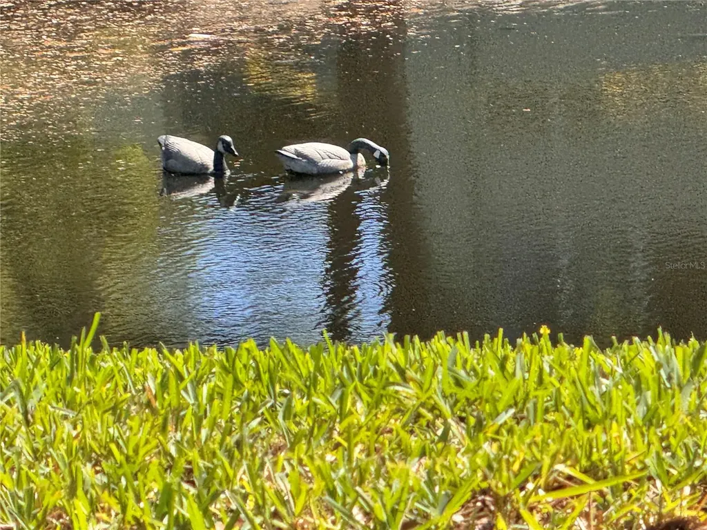 1250 S Pinellas Avenue Tarpon Springs FL 34689