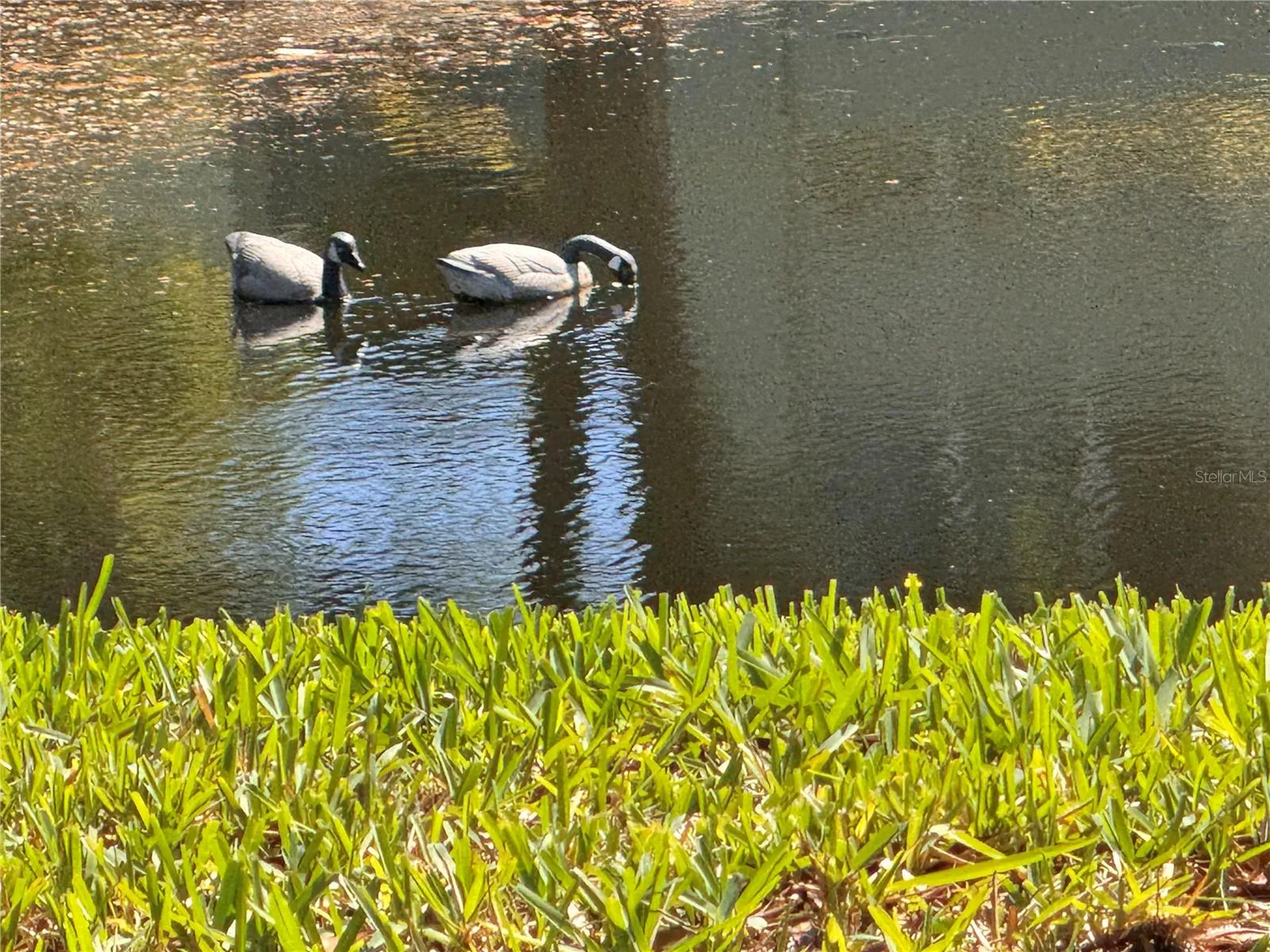 1250 S Pinellas Avenue Tarpon Springs FL 34689