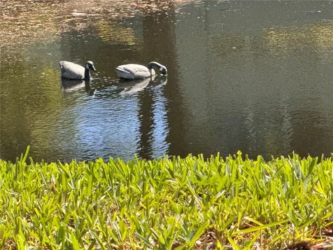 1250 S Pinellas Avenue Tarpon Springs FL 34689
