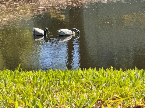 1250 S Pinellas Avenue Tarpon Springs FL 34689