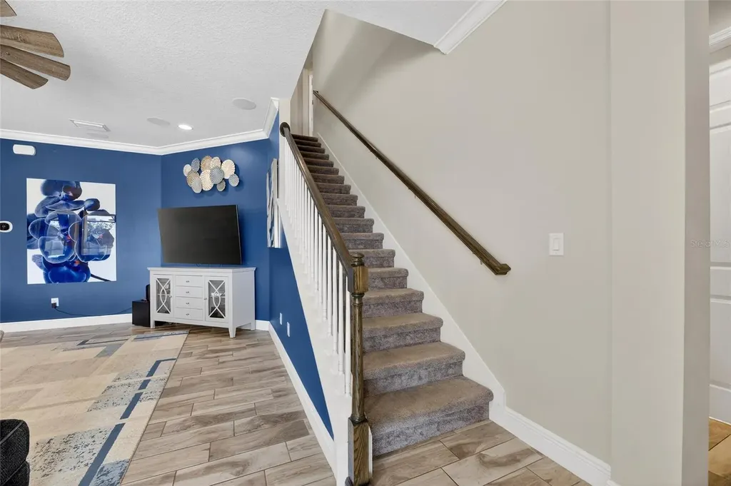 12444 Horseshoe Bend Drive Lithia FL 33547