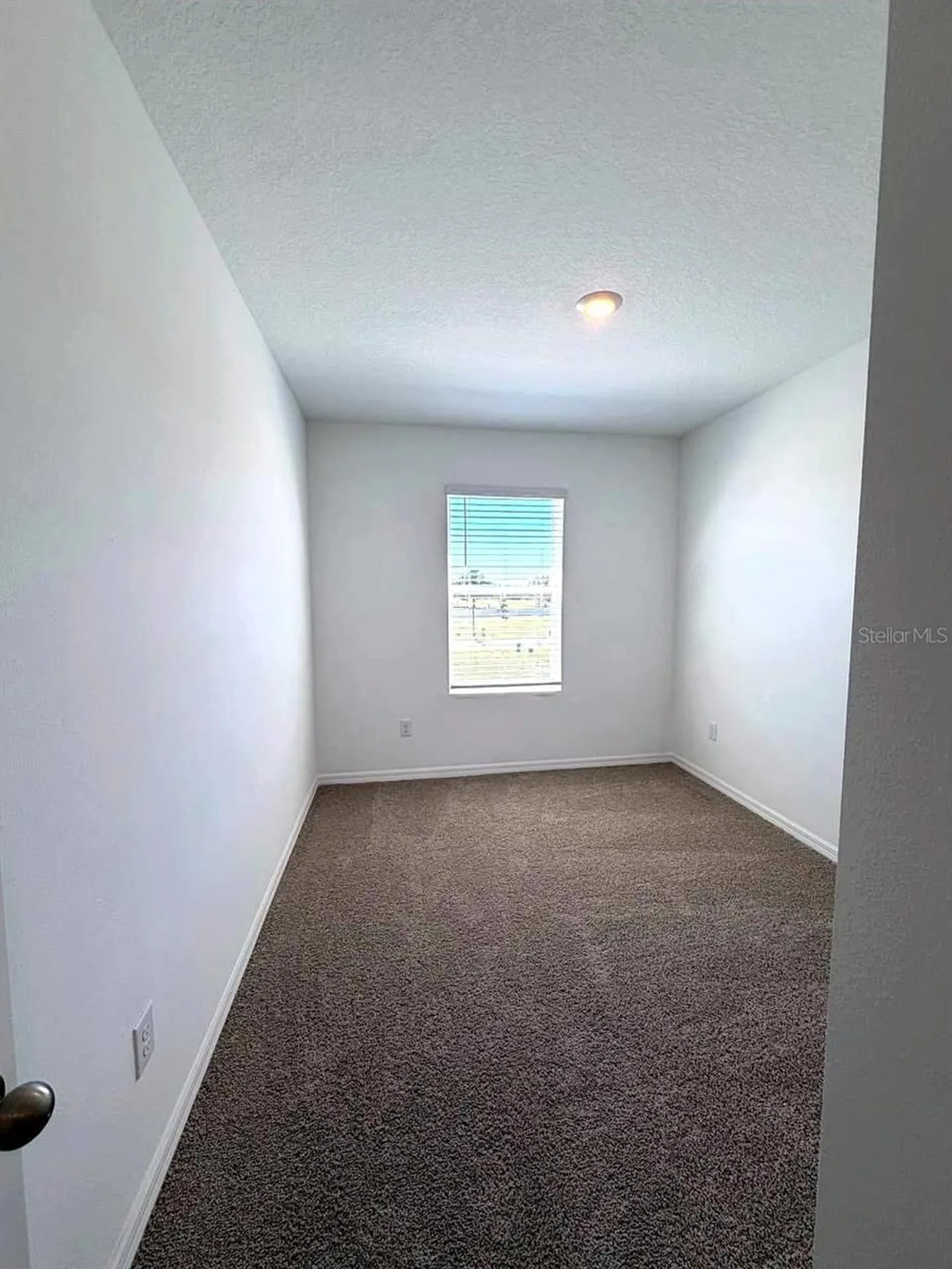 17260 English Chestnut Way Land O Lakes FL 34638